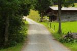2014-07-05_Laengental-N-Hochweg (276). JPG